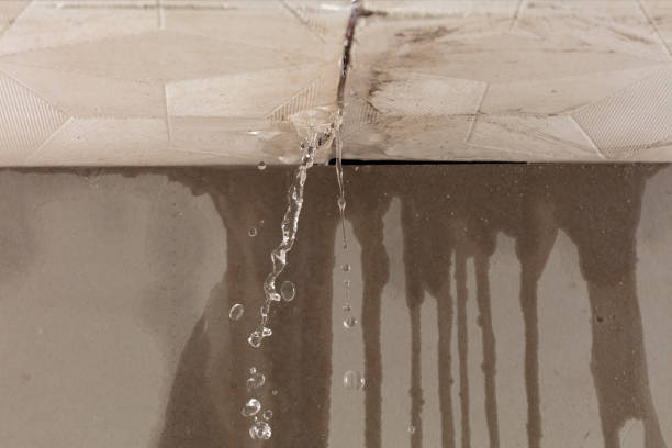 Professional Burst Pipe Cleanup technician working in Forestville, MD